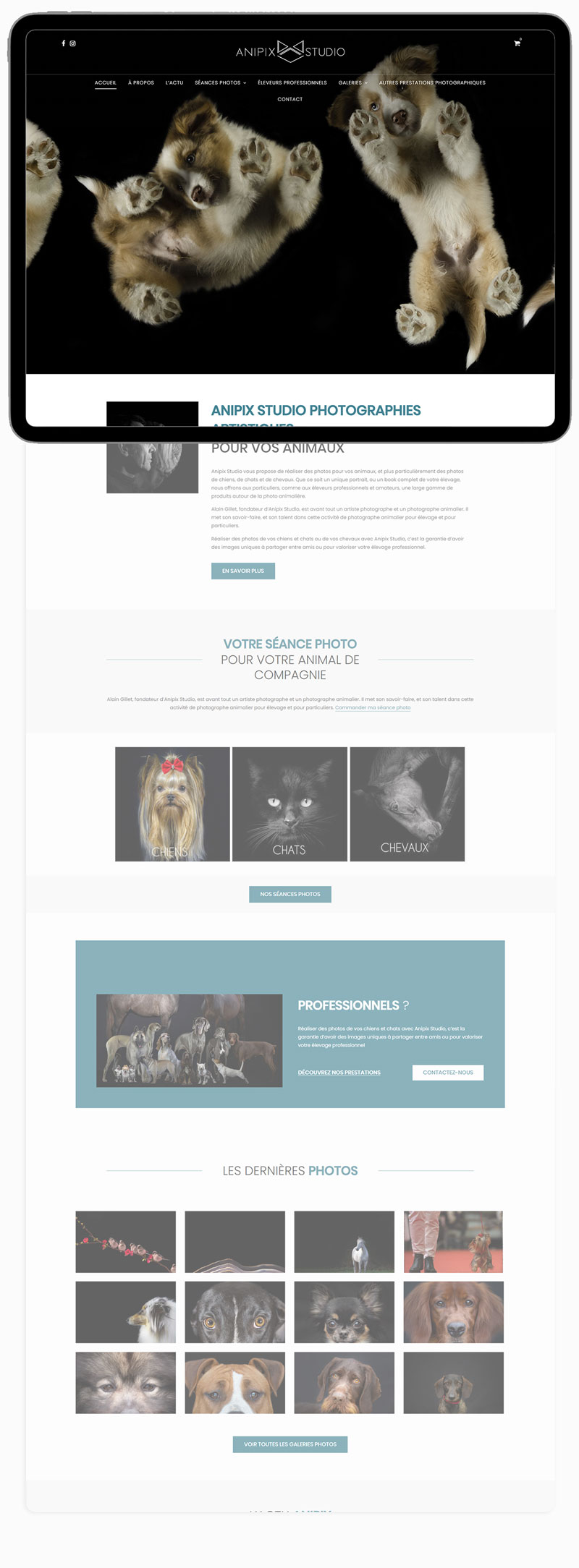 Desktop website preview 1