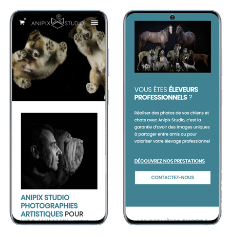 Mobile website preview 1