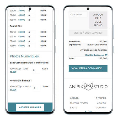 Mobile website preview 2