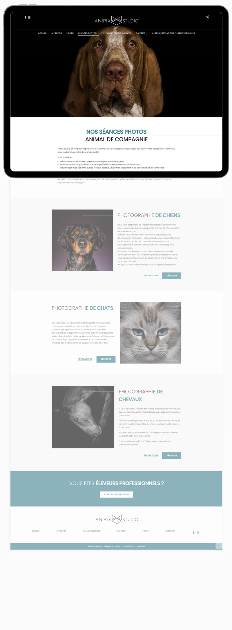 Desktop website preview 2