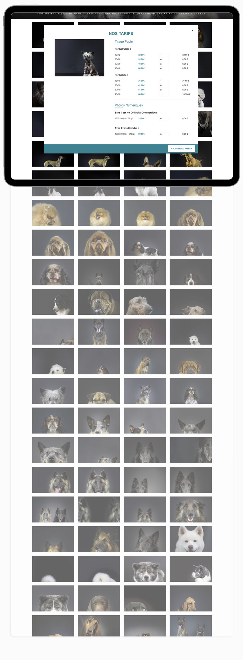 Desktop website preview 3