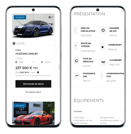 Mobile website preview 2