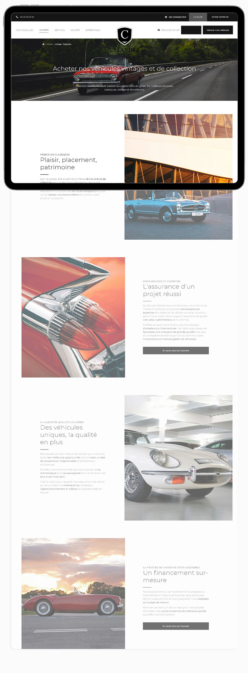 Desktop website preview 2